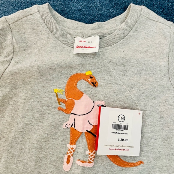 Hanna Andersson 5T *New* Princess Dinosaur Ballerina 🩰 Tee + mint green shorts - Picture 4 of 7